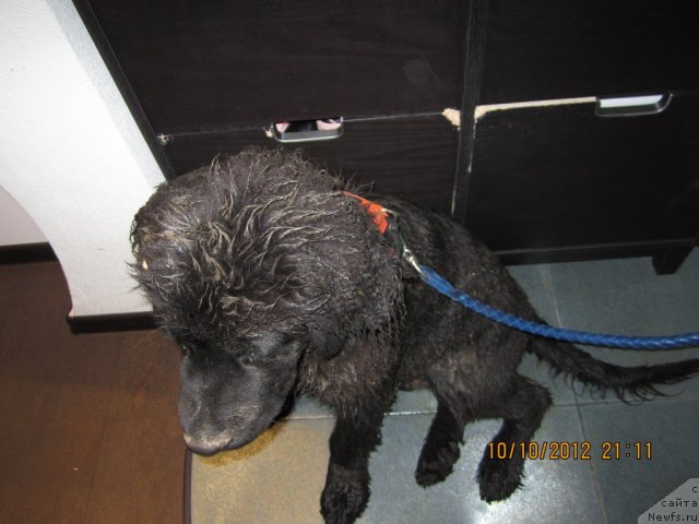 Фото: Ирина Дюженко