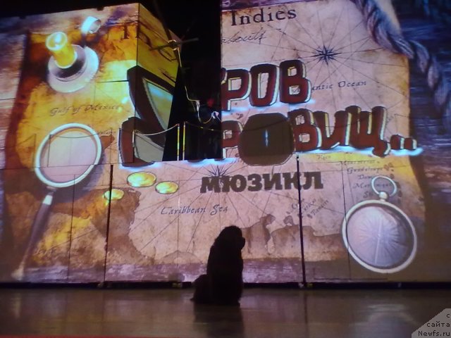 Фотография № 109602