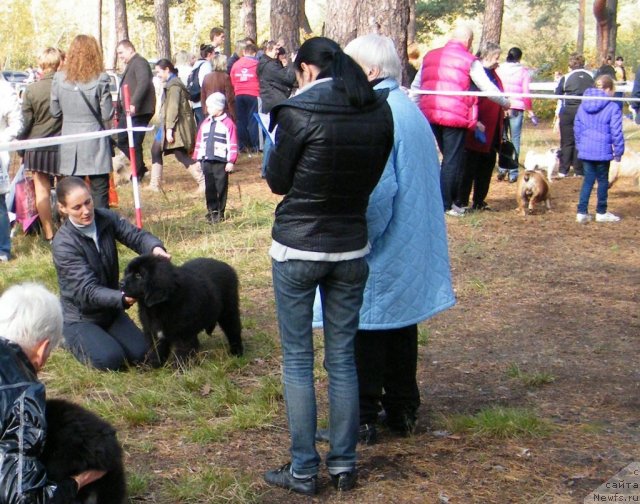 Фотография № 109603