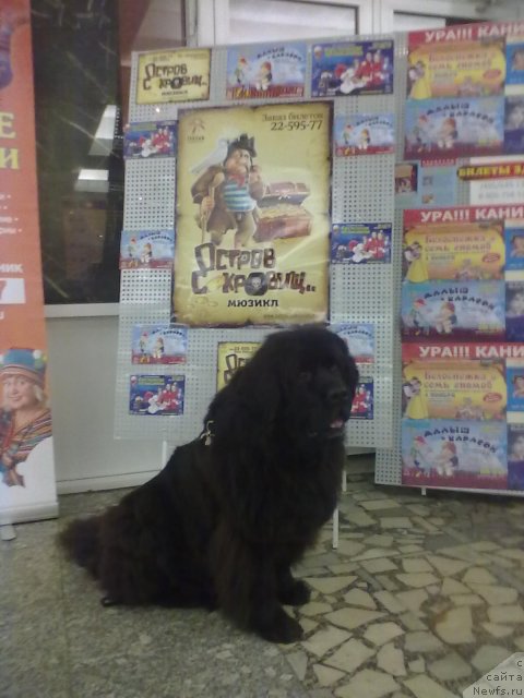 Фотография № 109604