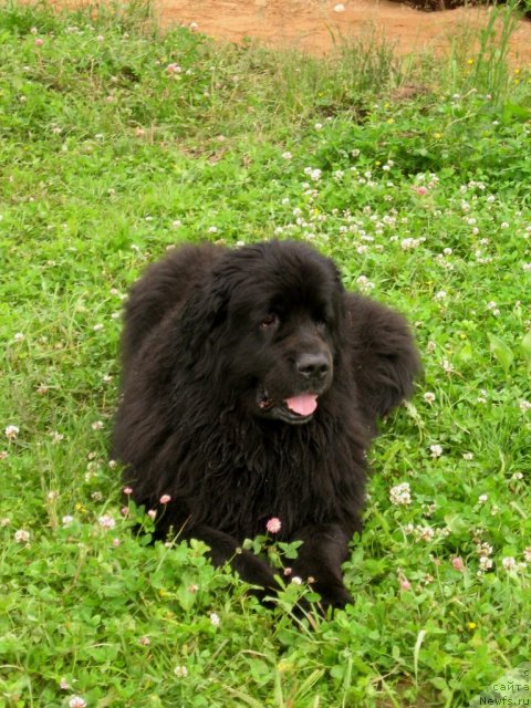 Фотография № 109640