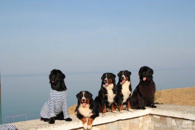 Фотография № 109741