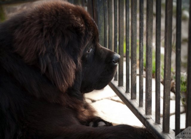 Фотография № 109756