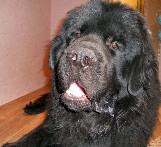 Фотография № 109775