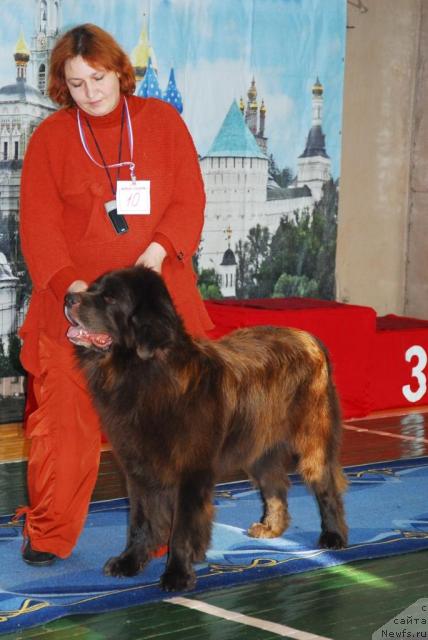 Фотография № 10979