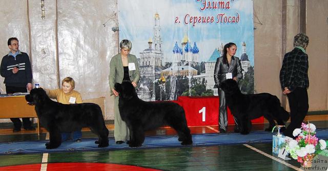 Фотография № 10982