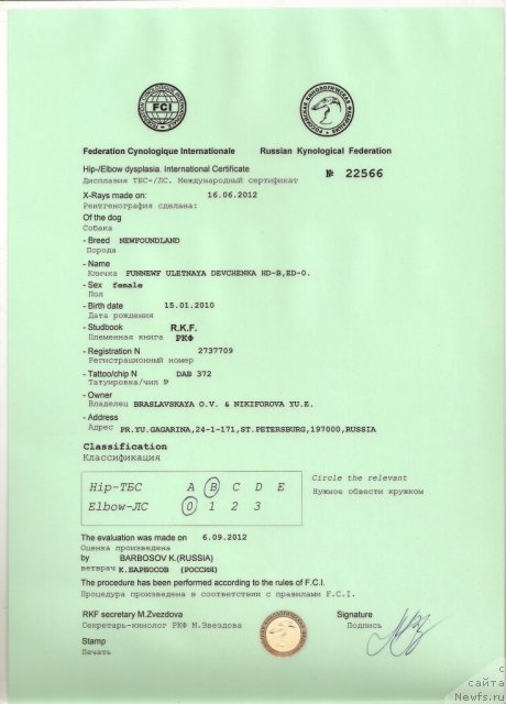 Фото: Cертификат на дисплозию