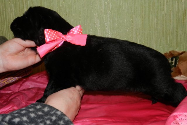 Фото: Наталья Смирнова