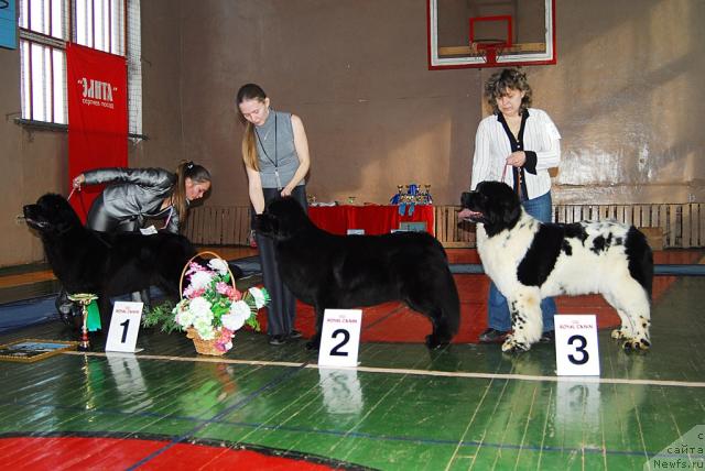 Фотография № 10983