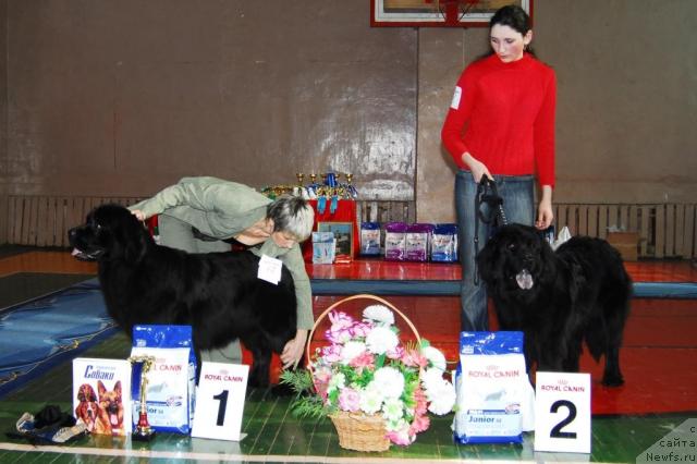 Фотография № 10985