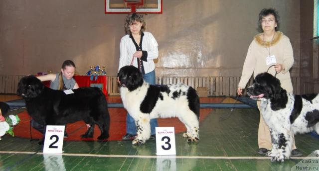 Фотография № 10986