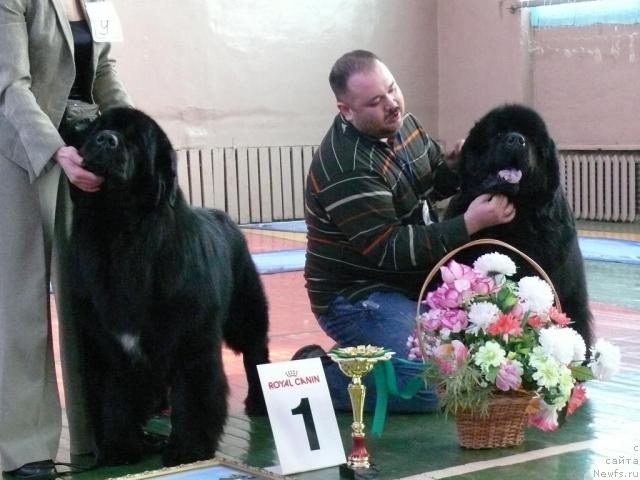 Фотография № 10990