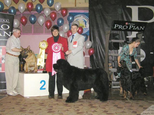 Фотография № 10991