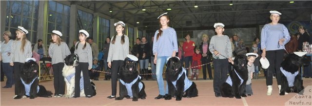 Фото: ньюфаундленд Оттава (Ottava), ньюфаундленд Рокот Волны Варга Кара Аюлар (Rokot Volny Varga Kara Ayular), ньюфаундленд Ница для Кара Аюлар из Тихого Омута (Nica Dlja Kara Ayular iz Tihogo Omuta), ньюфаундленд Topgallant's Aquitania, Хан Тенгри Беарс Вайкики, ньюфаундленд Потап Жослин, Анна Заря