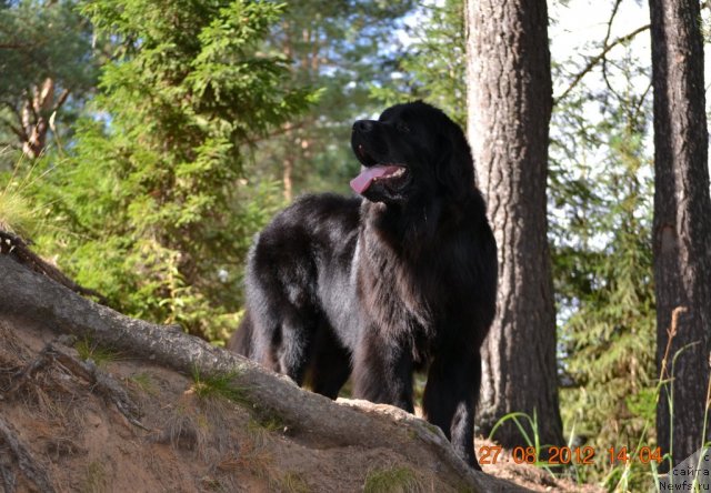 Фотография № 109945