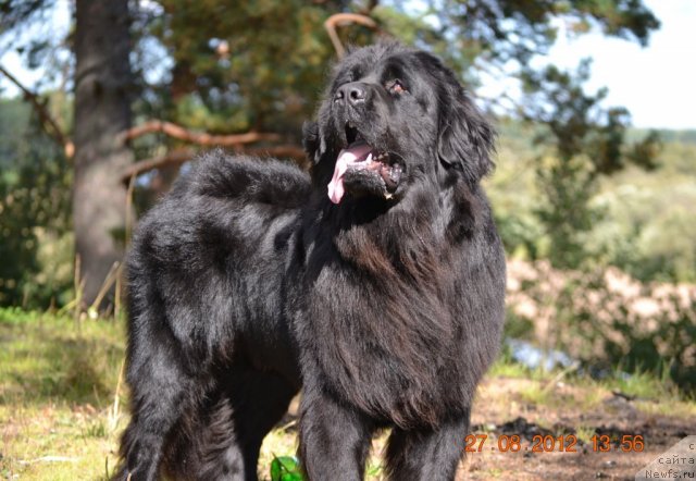 Фотография № 109946