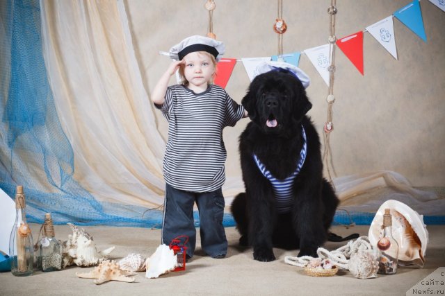 Фотография № 109954