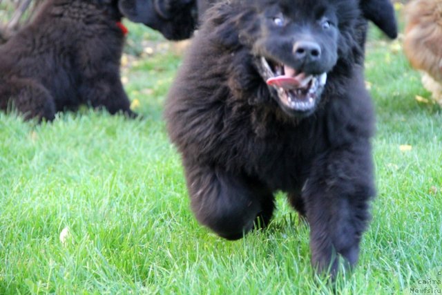 Фотография № 110002