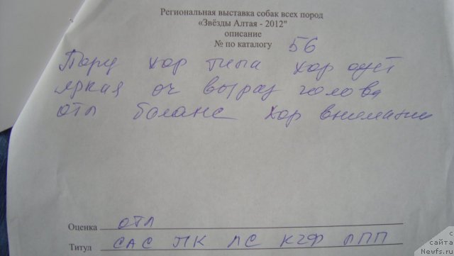 Фотография № 110013