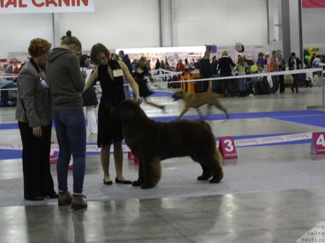 Фотография № 110034