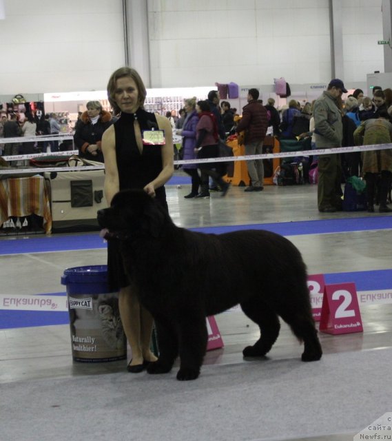 Фотография № 110035