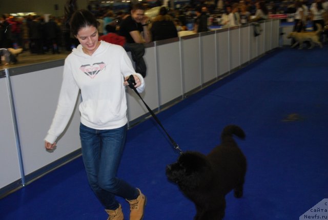 Фотография № 110044