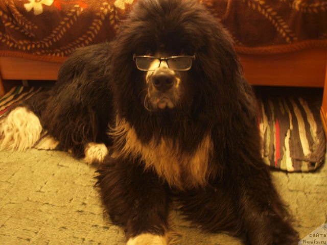 Фото: Сын [d8922]