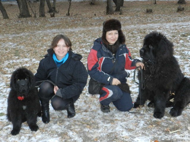 Фотография № 110088