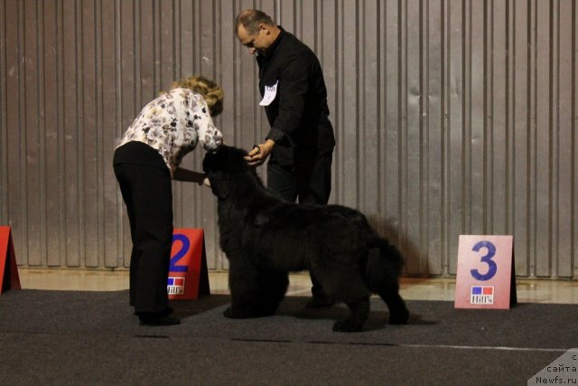 Фотография № 110111