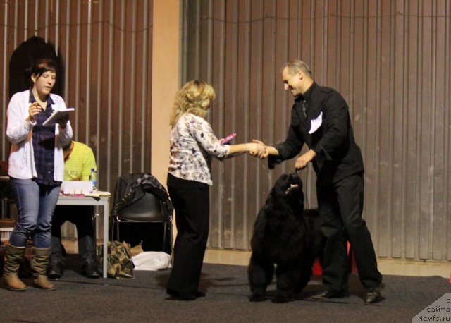 Фотография № 110112