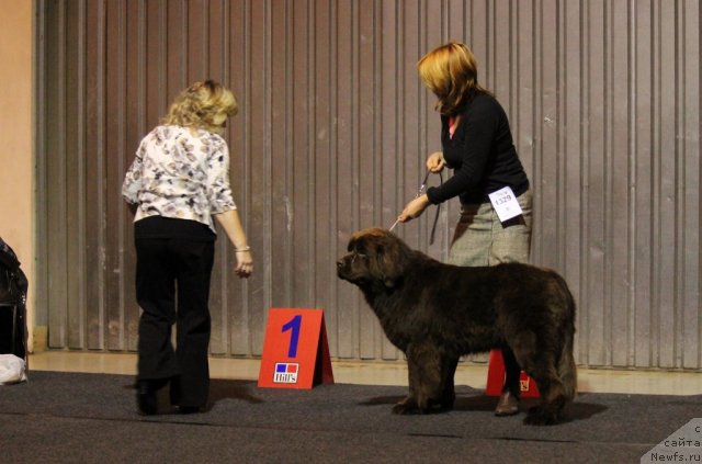 Фотография № 110113