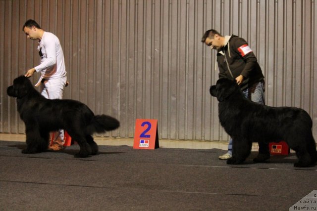 Фотография № 110114