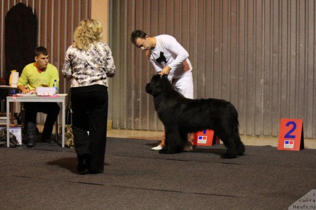 Фотография № 110115