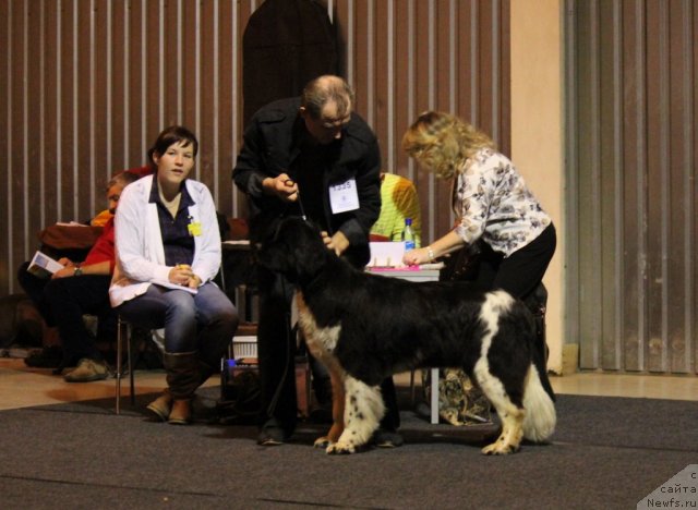 Фотография № 110120