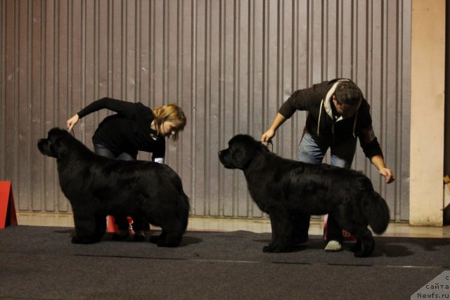 Фотография № 110125