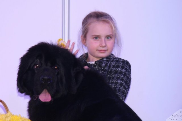 Фотография № 110137