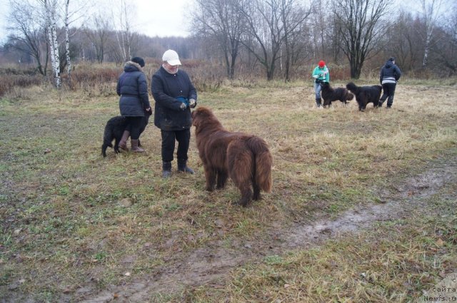 Фотография № 110150