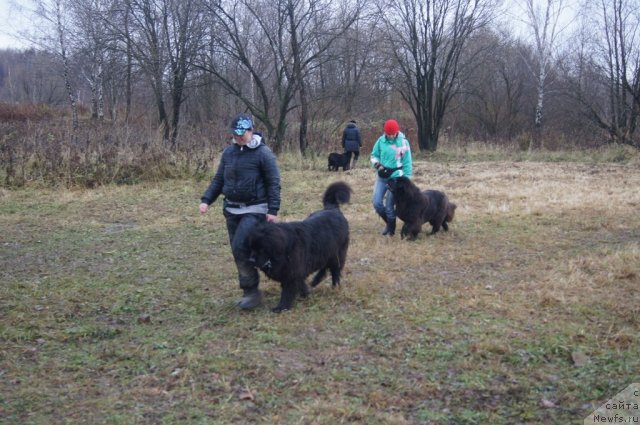 Фотография № 110153