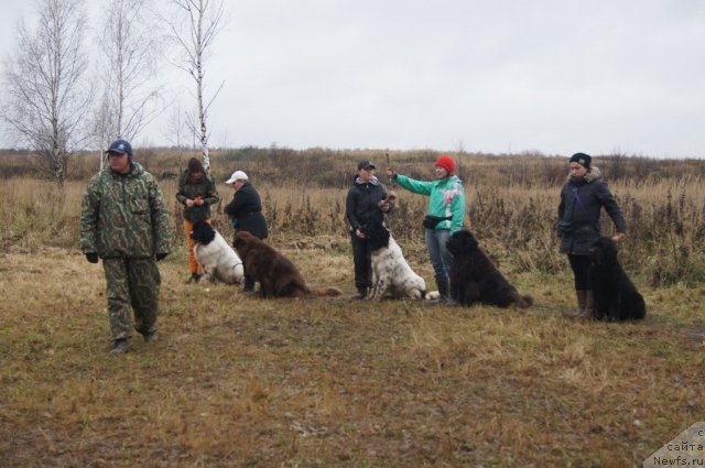 Фотография № 110161