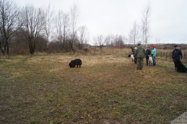 Фотография № 110166