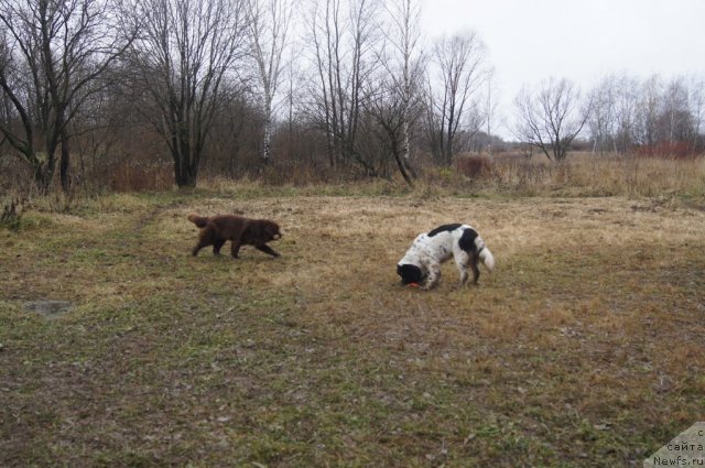 Фотография № 110168