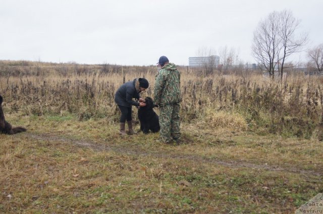 Фотография № 110169