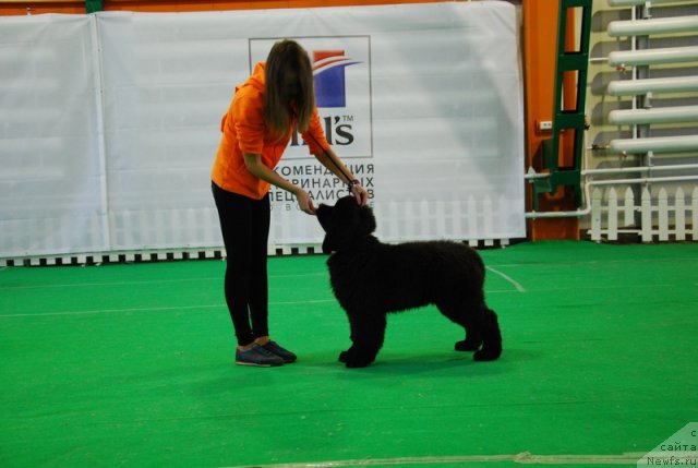 Фотография № 110191