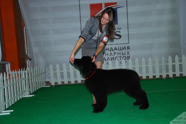 Фотография № 110194