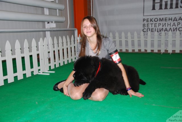 Фотография № 110195