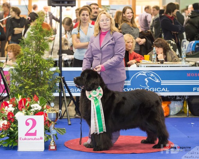 Фотография № 110199