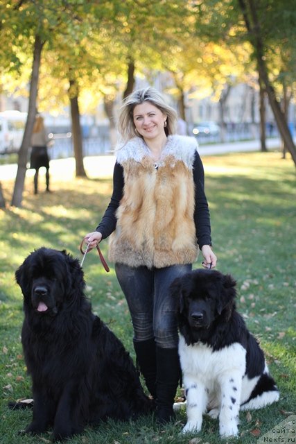 Фото: ньюфаундленд Вом Ватерфалл Лэнд Ай Тодор (Vom Waterfall Land Ay Todor), ньюфаундленд Черный Шарм Ванкувер