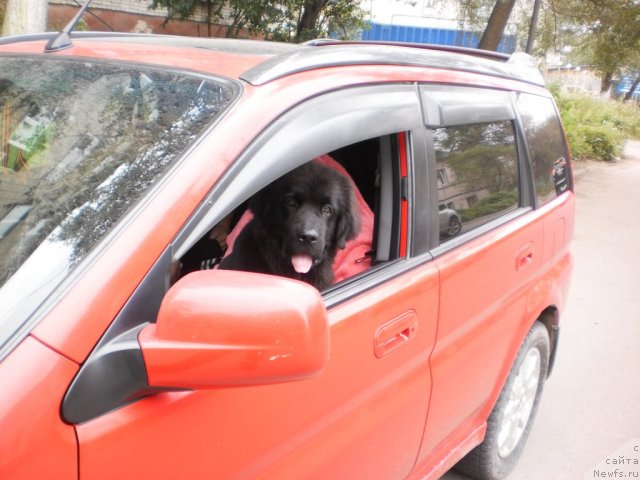 Фото: Екатерина Полякова