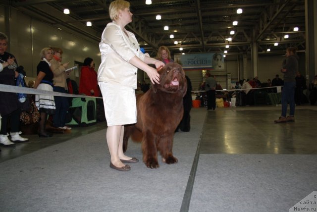 Фотография № 110219