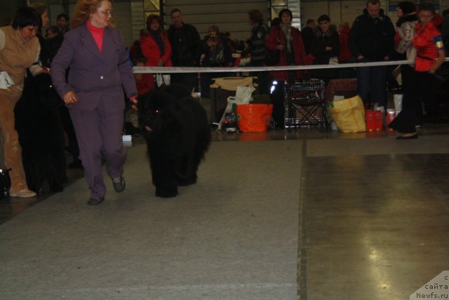 Фотография № 110220